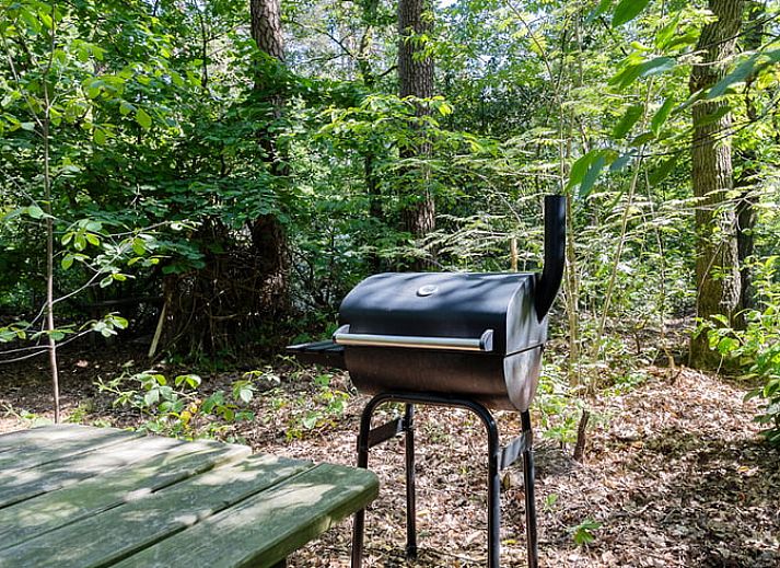 Lichte woonkamer in Huisje in Norg, vakantiehuis in Noord Drenthe, met comfortabele bank en grote ramen.