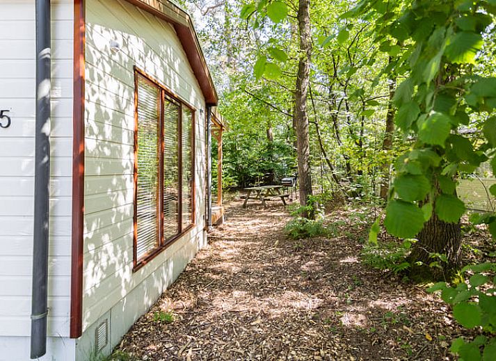 Lichte woonkamer in Huisje in Norg, vakantiehuis in Noord Drenthe, met comfortabele bank en grote ramen.