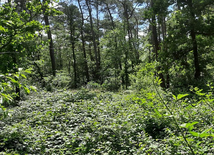 Gemuetliches Wohnzimmer des Ferienhauses DG1863 in Norg, Nord-Drenthe.
