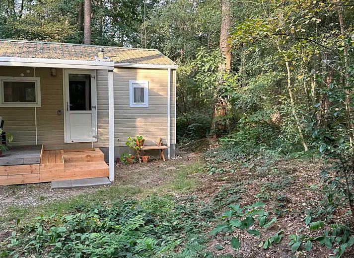 Unterkunft 180993 - Chalet Noord Drenthe - Boshuisje