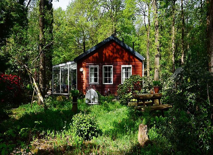 Guest house 180995 • Holiday property Noord Drenthe • Bosrijk gelegen 4 persoons vakantiehuis met prachtige tuin 