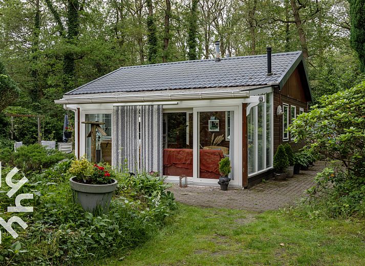 Guest house 180995 - Holiday property Noord Drenthe - DG430