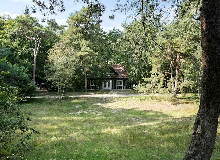 Guest house 180997 - Holiday property Noord Drenthe - DG131