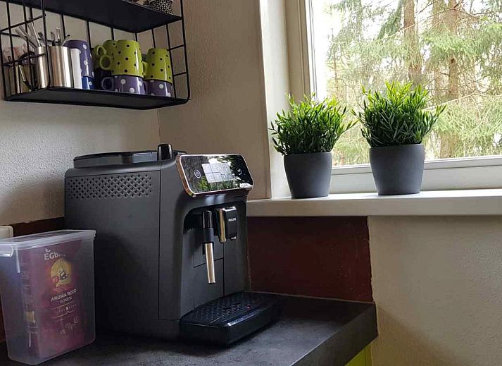 Guest house 180997 - Holiday property Noord Drenthe - DG131