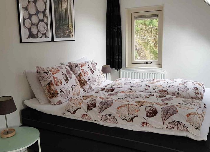 Guest house 180997 - Holiday property Noord Drenthe - DG131