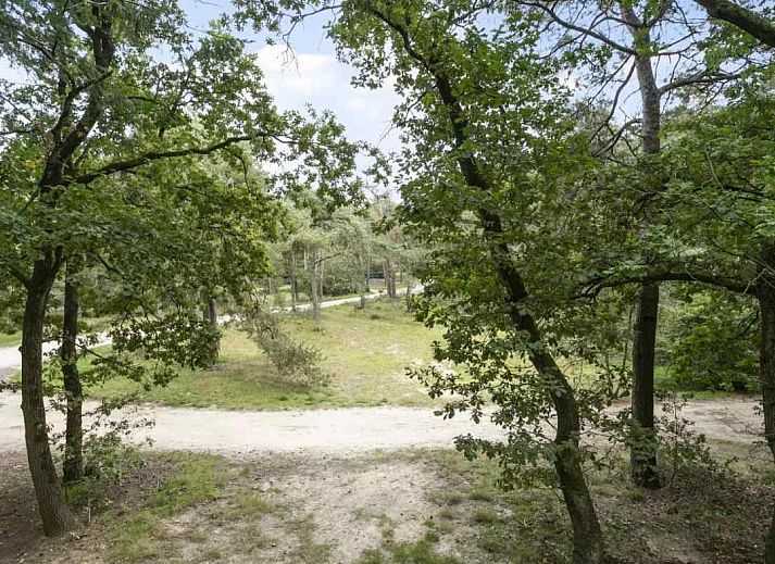 Guest house 180997 - Holiday property Noord Drenthe - DG131