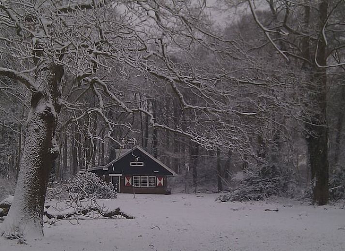 Unterkunft 181003 - Ferienhaus Noord Drenthe - Vakantiehuisje in Midlaren