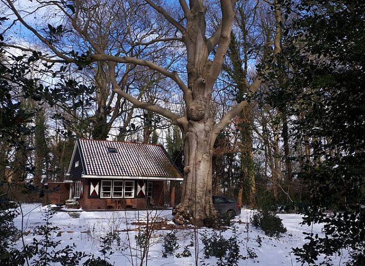 Unterkunft 181003 - Ferienhaus Noord Drenthe - Vakantiehuisje in Midlaren