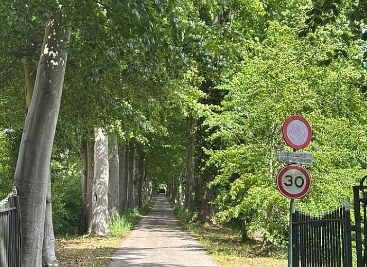 Unterkunft 181007 - Ferienhaus Noord Drenthe - Huisje in Midlaren