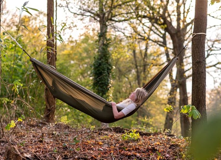 Unterkunft 181008 - Ferienhaus Noord Drenthe - Vakantiehuisje in Midlaren