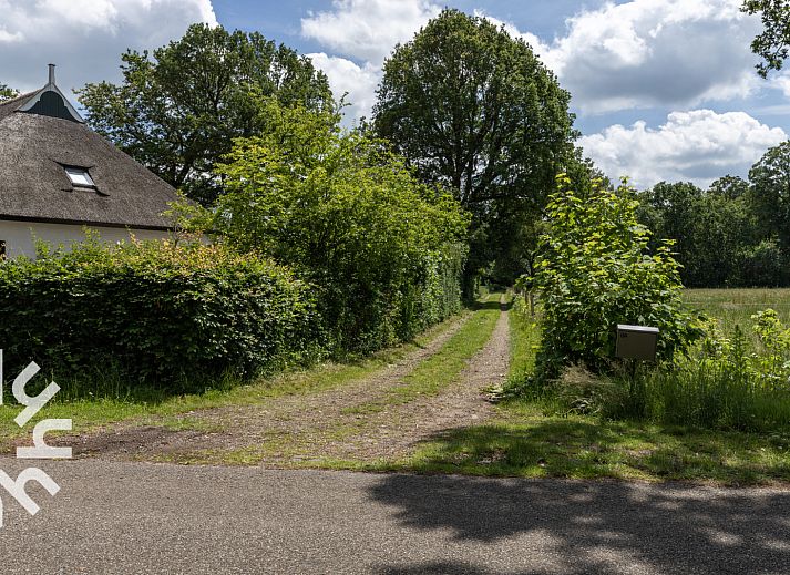 Tuin van DG588 vakantiehuis in Midlaren, Drenthe, met trampoline en houten zitmeubilair onder schaduwrijke bomen.