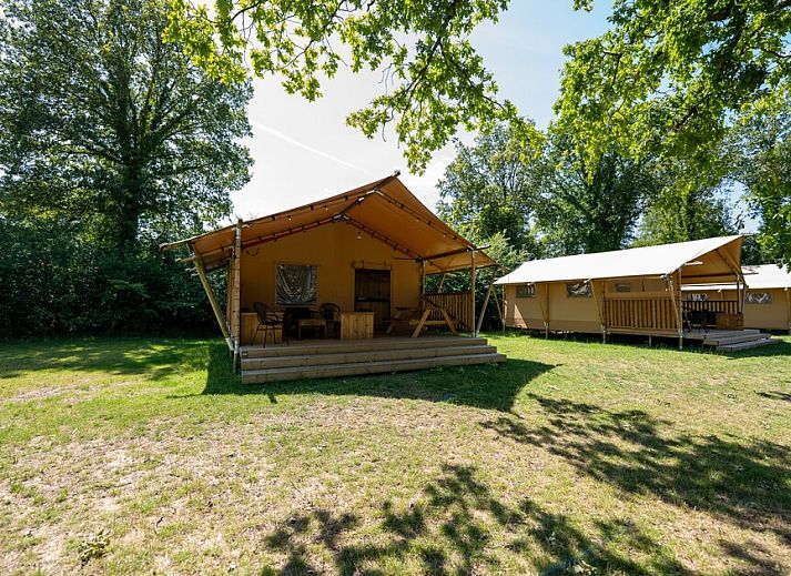 Guest house 181108 • Holiday property Noord Drenthe • Safaritent 4B 