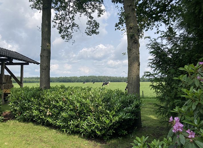 Lichte entree van vakantiehuis DG1879 in Borger, Noord Drenthe met tegelvloer en spiegel.