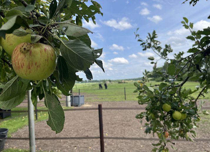 Badkamer in DG1879, Borger, Noord Drenthe met handdoekrek en rieten mand.