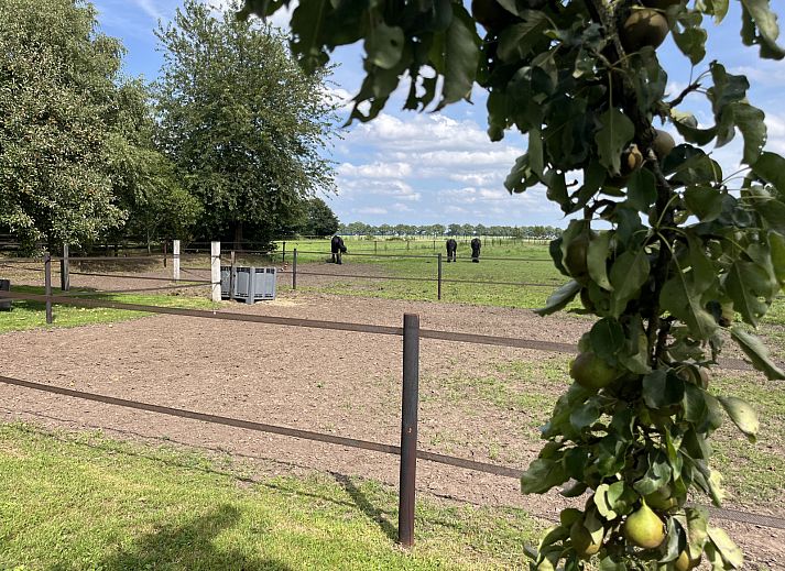 Toegangspad naar vakantiehuis DG1879 in Borger, Noord Drenthe met groene omgeving.