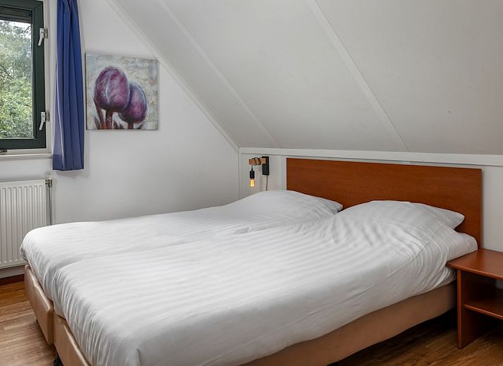 Bungalow L6B in Borger, Noord Drenthe met ruime tuin en terras in bosrijke omgeving, ideaal voor een ontspannen vakantie.