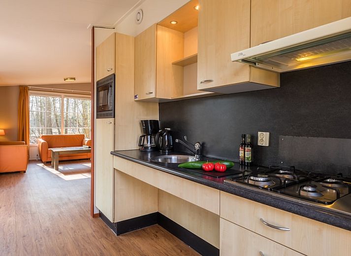 Chalet LU4M in Borger, Noord Drenthe, omgeven door groene natuur met een uitnodigend terras voor een ontspannen vakantie.