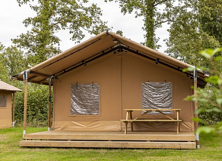 Verblijf 181143 - Tenthuis Noord Drenthe - Safaritent 4