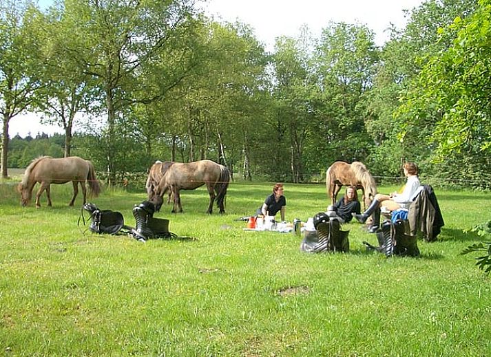 Unterkunft 181203 - Ferienhaus Noord Drenthe - Huisje in Schipborg