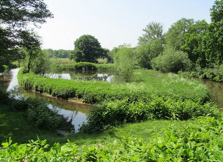 Rustiek vakantiehuisje in Schipborg, Drenthe omgeven door groene natuur.