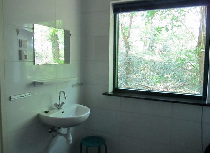 Weelderige groene omgeving rondom vakantiehuisje in Schipborg, Drenthe.