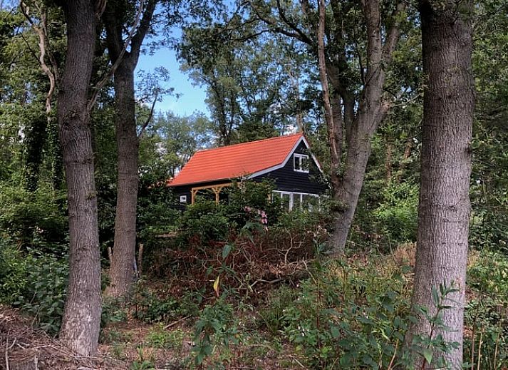 Verblijf 181215 - Vakantiewoning Noord Drenthe - Vakantiehuisje in Schipborg