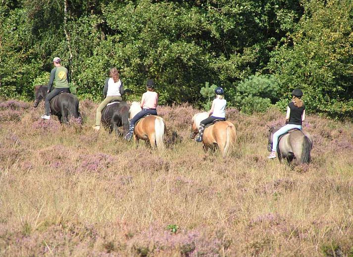 Einzigartiges Ferienhaus DG575 in Schipborg, Drenthe, umgeben von gruener Natur.