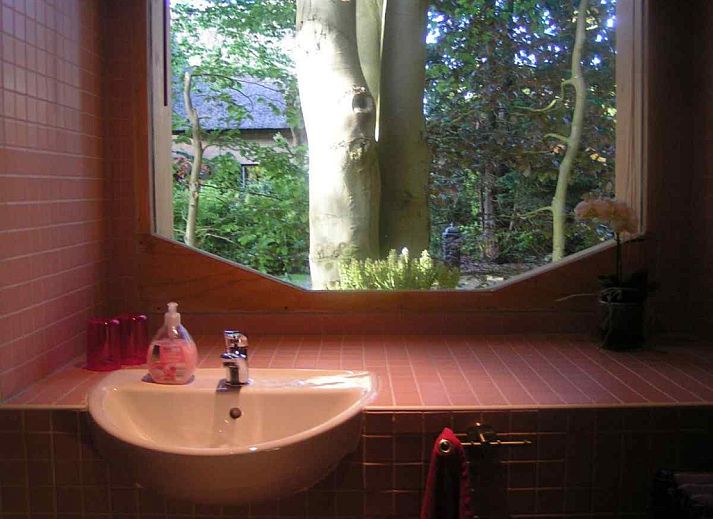 Einzigartiges Ferienhaus DG575 in Schipborg, Drenthe, umgeben von gruener Natur.