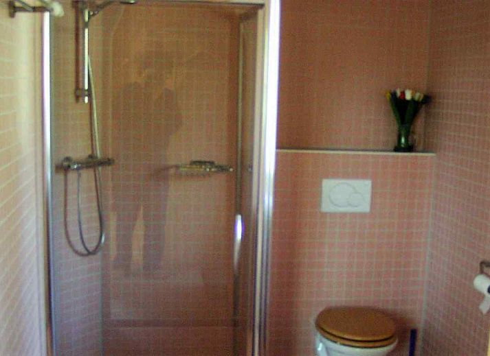 Eisvoegel am Wasser in der Naehe des Ferienhauses DG575 in Schipborg, Drenthe.