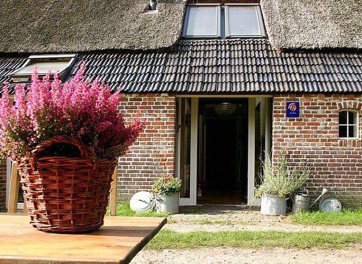 Verblijf 182004 - Vakantiewoning Noord Drenthe - Vakantiehuisje in Annen
