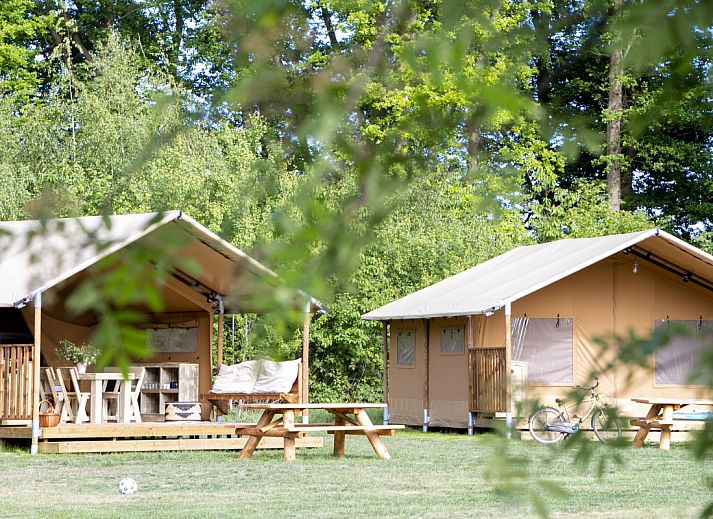 Guest house 182309 • Tent house Noord Drenthe • Safaritent