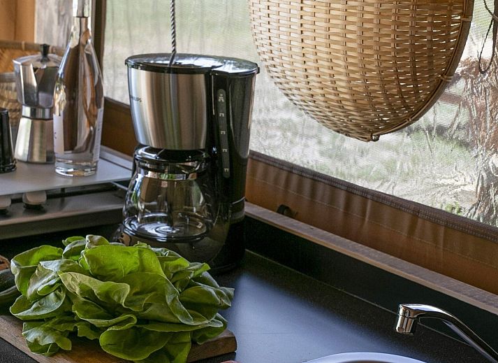 Verblijf 182309 - Tenthuis Noord Drenthe - Safaritent