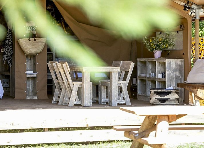 Verblijf 182309 - Tenthuis Noord Drenthe - Safaritent