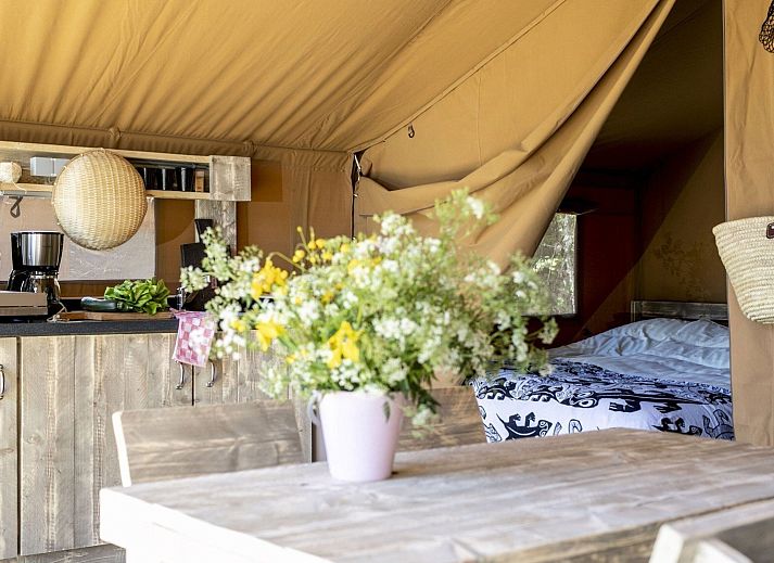 Verblijf 182309 - Tenthuis Noord Drenthe - Safaritent