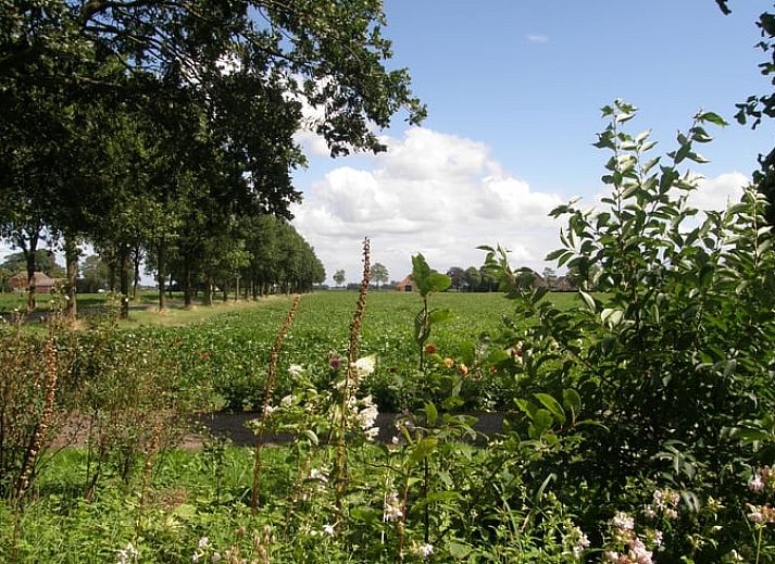 Unterkunft 182403 - Ferienhaus Noord Drenthe - Vakantiehuisje in Gieterveen