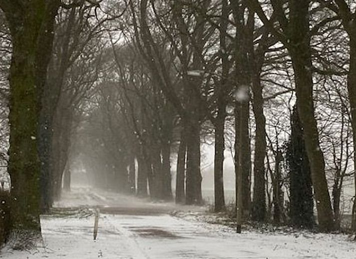 Bright room in Cottage in Tynaarlo, North Drenthe, with large windows and a comfortable bed.