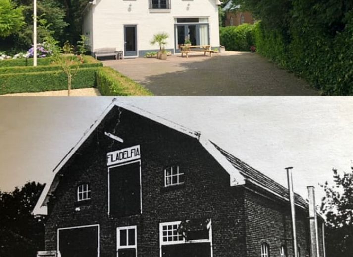 Modern living room in Cottage in Tynaarlo, North Drenthe, with a seating area and garden views.