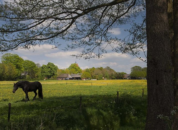 Guest house 182710 - Holiday property Noord Drenthe - Huisje in Tynaarlo