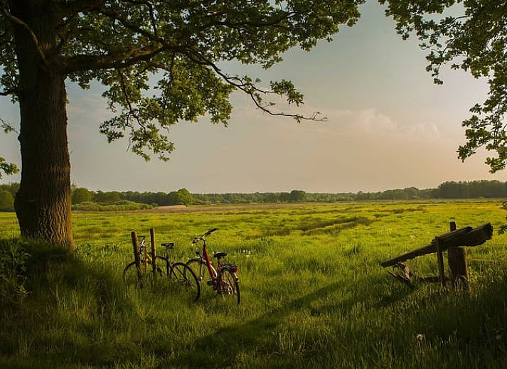 Guest house 182710 - Holiday property Noord Drenthe - Huisje in Tynaarlo