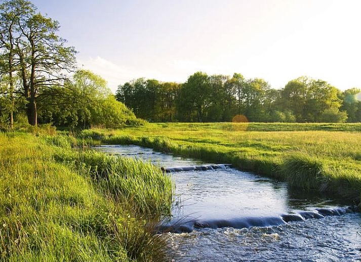 Guest house 182710 - Holiday property Noord Drenthe - Huisje in Tynaarlo