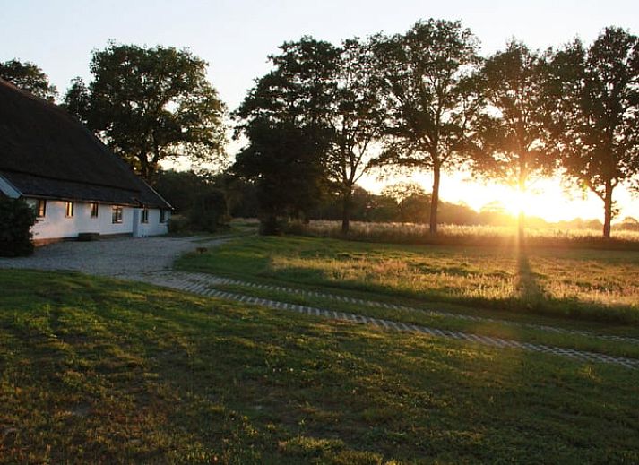 Unterkunft 182722 - Ferienhaus Noord Drenthe - Vakantiehuis in Tynaarlo