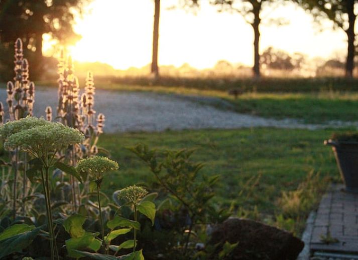 Unterkunft 182723 - Ferienhaus Noord Drenthe - Huisje in Tynaarlo