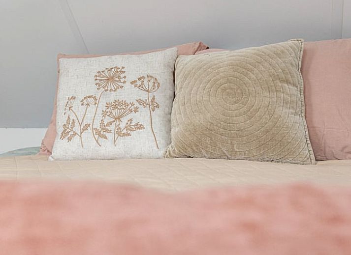 Unterkunft 182723 - Ferienhaus Noord Drenthe - Huisje in Tynaarlo