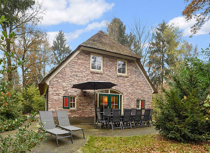 Geraeumige Terrasse des 10-Sitzer-Streichelzoos Het Land van Bartje, Ees, Drenthe, ideal fuer Mahlzeiten im Freien.