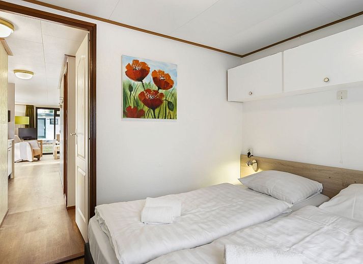 Het Land van Bartje, 4-person mobile home in Ees, North Drenthe, with terrace and green surroundings.