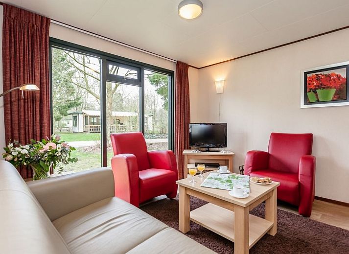 Cozy living room in Het Land van Bartje 4-person mobile home 4BC, Ees, Drenthe, overlooking green surroundings.