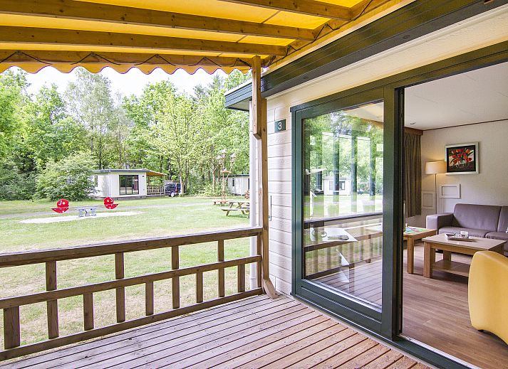 Veranda van Het Land van Bartje 4-persoons peuterstacaravan in Ees, omgeven door groen.