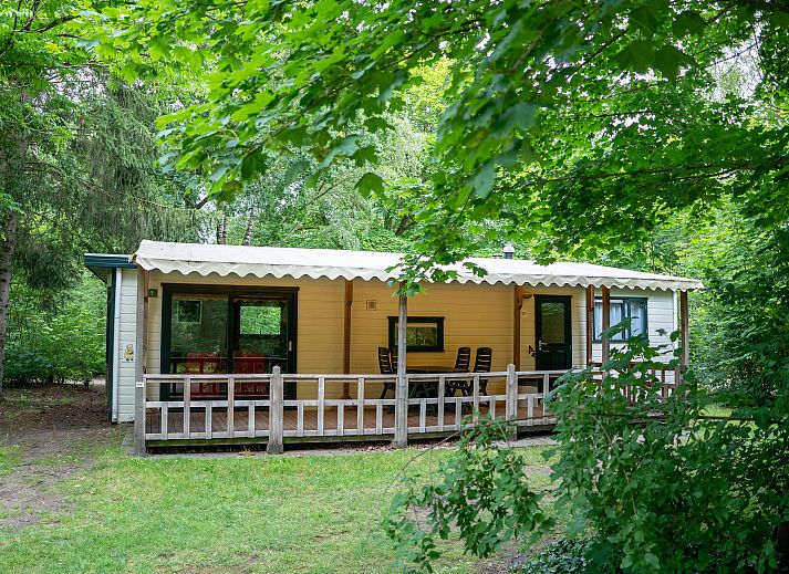 Veranda van Het Land van Bartje 4-persoons peuterstacaravan in Ees, omgeven door groen.