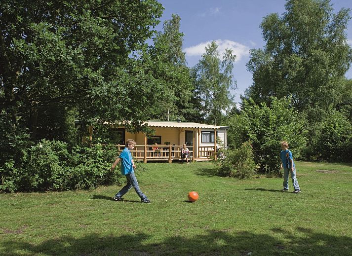 Enjoy the green surroundings at Het Land van Bartje, 4-person mobile home 4BCV in Ees, Drenthe, with children playing on the grass.