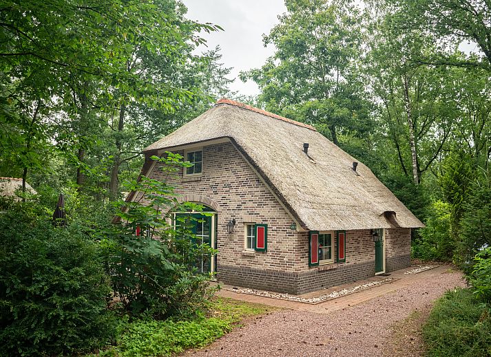 Het Land van Bartje 6-Personen-Bauernhaus in Ees, Nord-Drenthe. Traditionelles Aeusseres mit Reetdach, umgeben von viel Gruen.